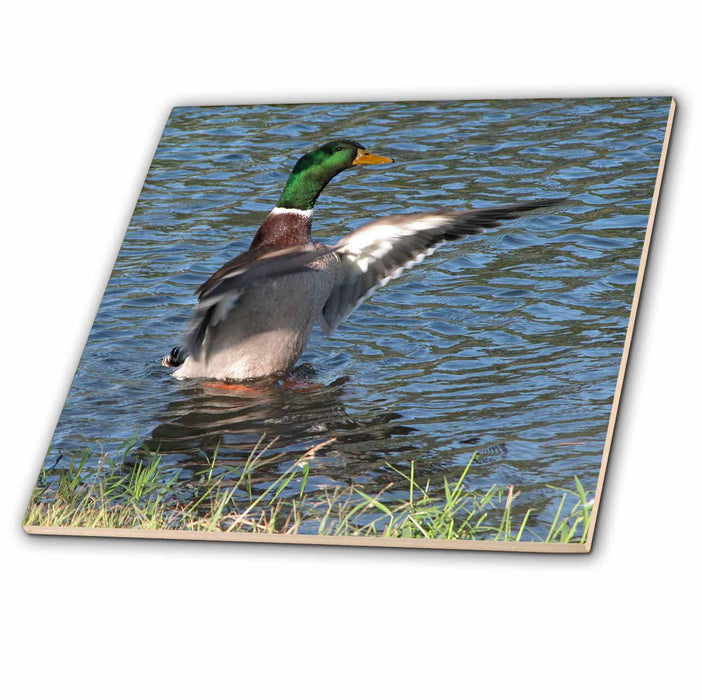 image of 12 Inch Glass Tile