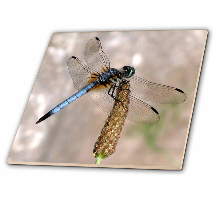 image of 6 Inch Glass Tile