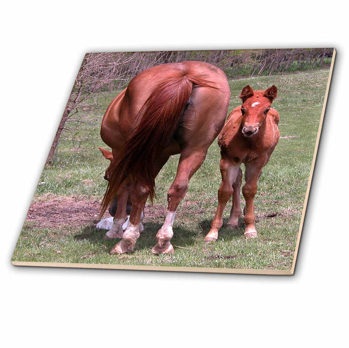 image of 4 Inch Ceramic Tile