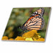 image of 8 Inch Ceramic Tile