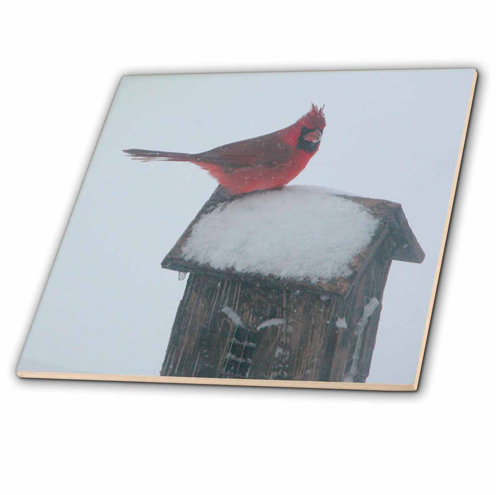 image of 12 Inch Glass Tile