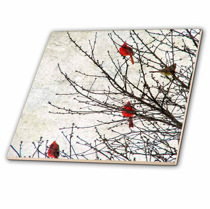 image of 12 Inch Ceramic Tile