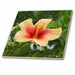 image of 4 Inch Ceramic Tile