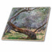 image of 8 Inch Ceramic Tile