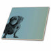 image of 12 Inch Glass Tile