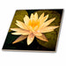 image of 4 Inch Glass Tile