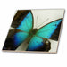 image of 6 Inch Glass Tile