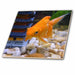 image of 8 Inch Glass Tile