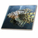 image of 6 Inch Glass Tile