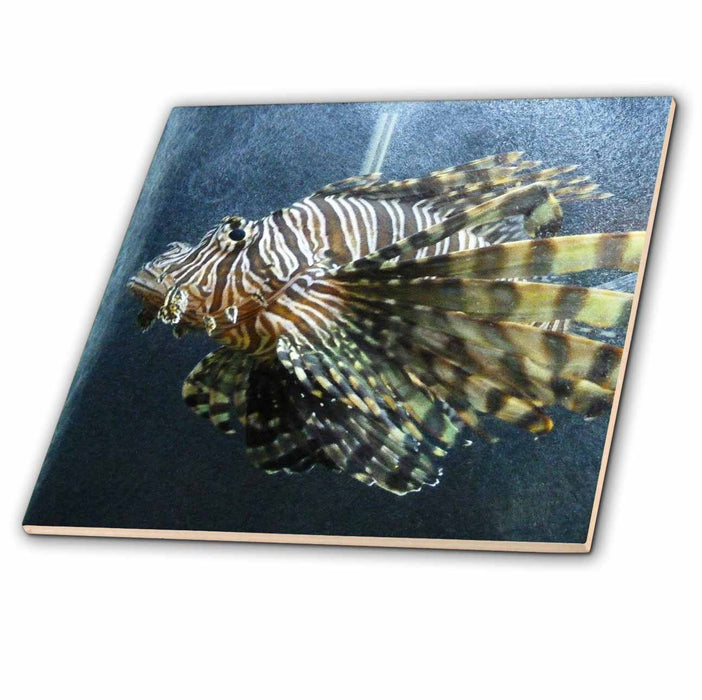 image of 4 Inch Glass Tile