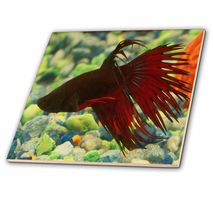 image of 4 Inch Glass Tile