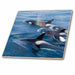 image of 12 Inch Ceramic Tile