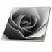 image of 6 Inch Ceramic Tile