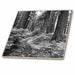 image of 8 Inch Ceramic Tile