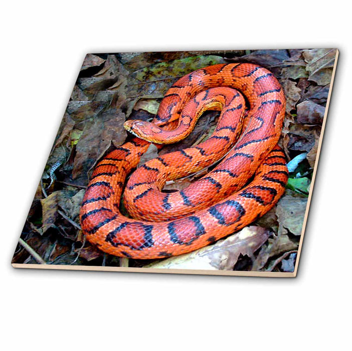 image of 8 Inch Glass Tile