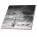 image of 6 Inch Glass Tile