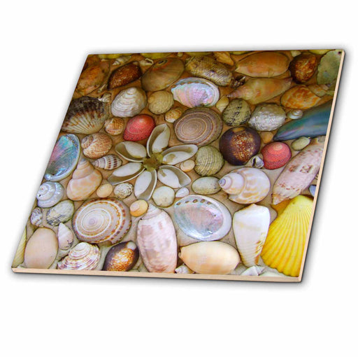 image of 4 Inch Ceramic Tile