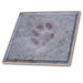 image of 4 Inch Ceramic Tile