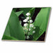 image of 8 Inch Ceramic Tile