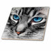 image of 4 Inch Ceramic Tile