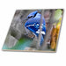 image of 4 Inch Glass Tile