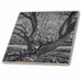 image of 8 Inch Ceramic Tile