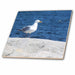 image of 8 Inch Ceramic Tile