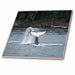 image of 12 Inch Glass Tile