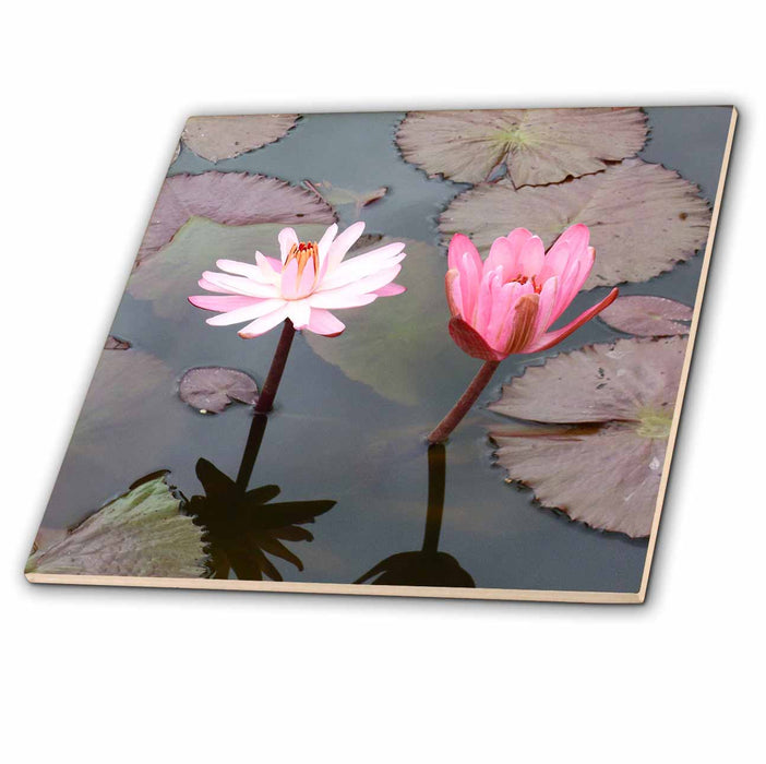 image of 12 Inch Ceramic Tile