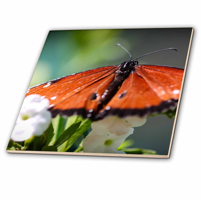 image of 12 Inch Glass Tile