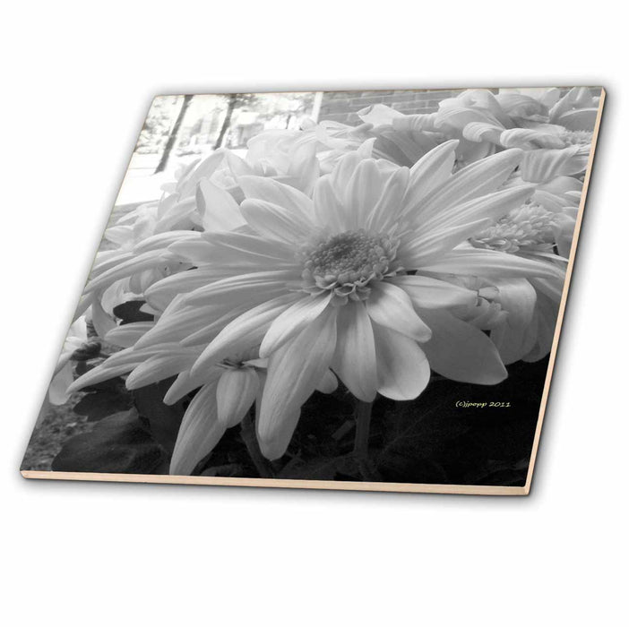 image of 12 Inch Ceramic Tile