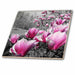 image of 8 Inch Ceramic Tile