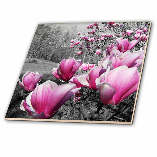 image of 4 Inch Ceramic Tile