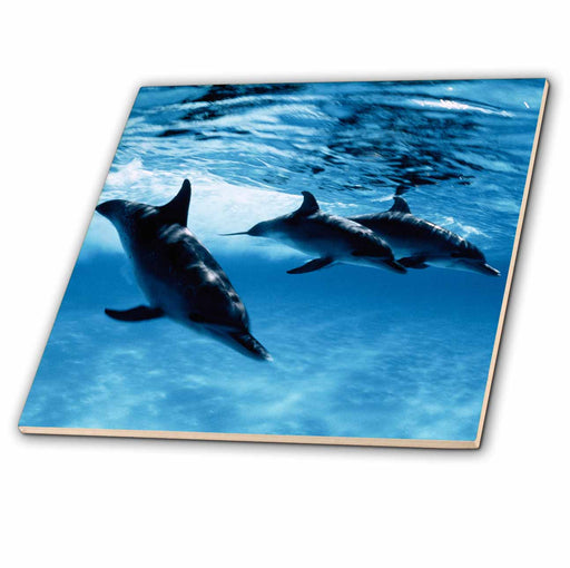 image of 4 Inch Ceramic Tile