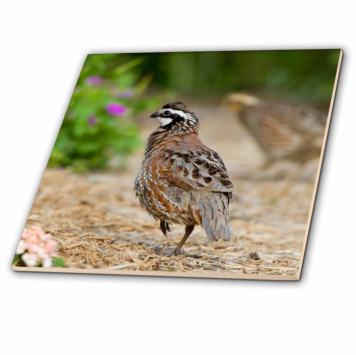 image of 8 Inch Glass Tile