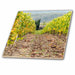 image of 12 Inch Ceramic Tile