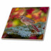 image of 8 Inch Glass Tile