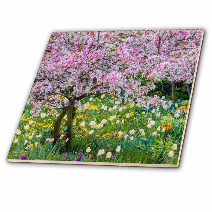 image of 12 Inch Ceramic Tile