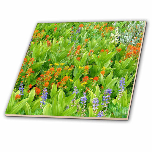 image of 4 Inch Ceramic Tile