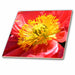 image of 6 Inch Glass Tile