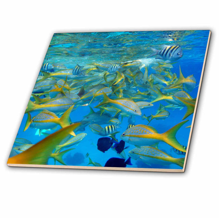 image of 8 Inch Glass Tile