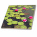 image of 8 Inch Glass Tile