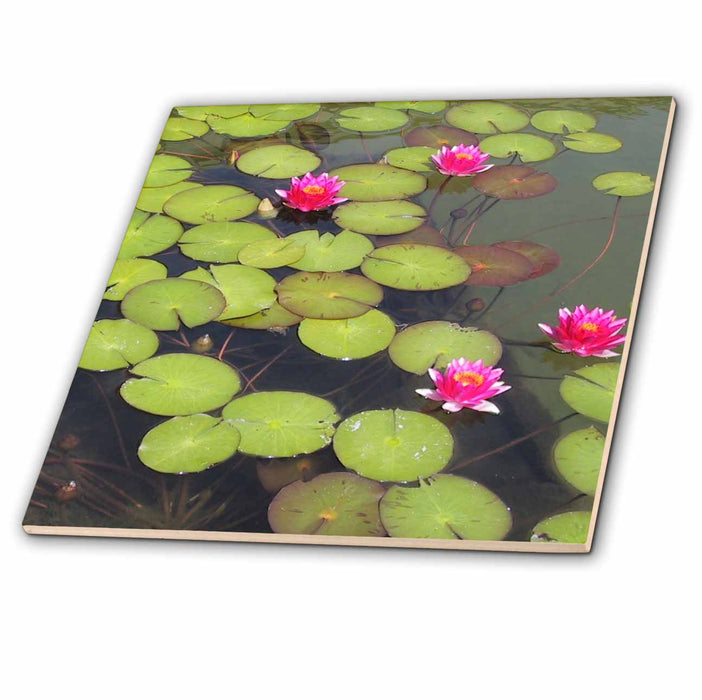 image of 12 Inch Ceramic Tile