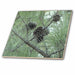 image of 6 Inch Glass Tile