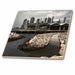 image of 8 Inch Ceramic Tile