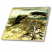 image of 12 Inch Ceramic Tile