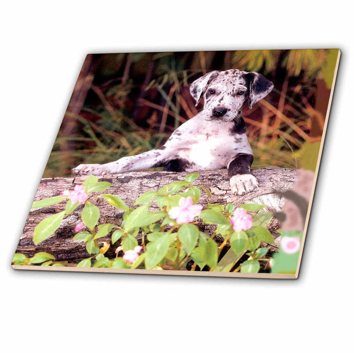 image of 12 Inch Glass Tile