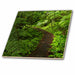 image of 8 Inch Glass Tile