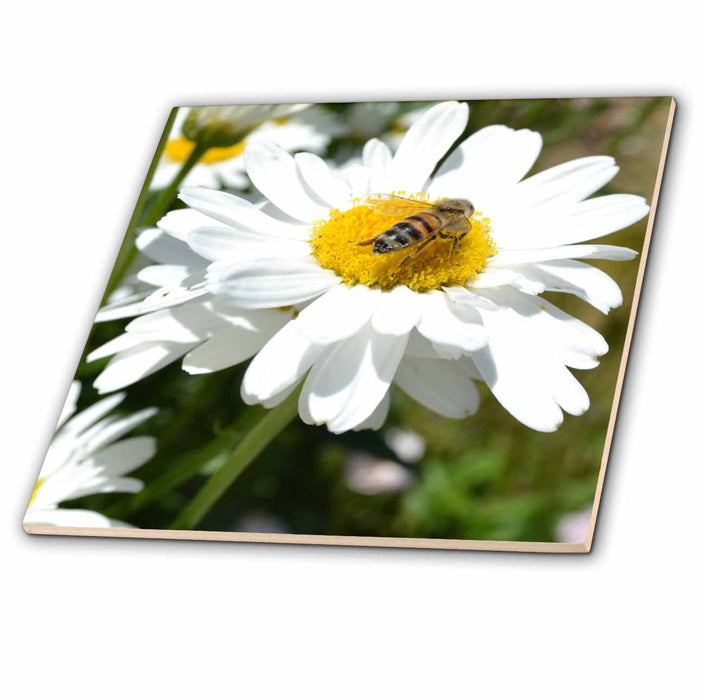 image of 12 Inch Glass Tile