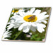 image of 6 Inch Glass Tile